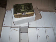 OXIDIZE WORSHIP BOX(6