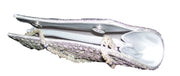 Silver Evening Wedding Party Purse