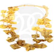 BONE NECKLACE
