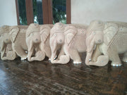 WOODEN ELEPHANT CHILD & TREE IN TRUNK