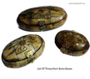 HORN & BONE DECORATIVE PRODUCTS