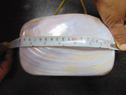 Vintage Mother Of Pearl Shell Purse Mop Clutch Bag