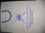 PRINTED RECYCLE PAPER BAG