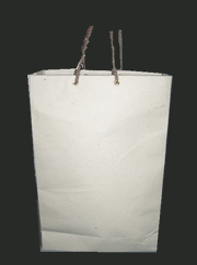 PRINTED RECYCLE PAPER BAG