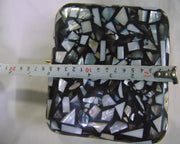 Square Metal frame Metal Handbag Mother of Pearl Clutch Bag