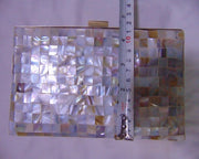 Mother Of Pearl slim frame Compact Evening Bag