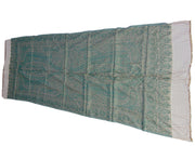 Paisley border rayon pashmina women scarf