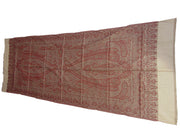 Paisley border rayon pashmina women scarf
