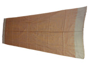 Paisley border rayon pashmina women scarf