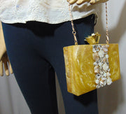 Women's Acrylic Embellished Clutch purse