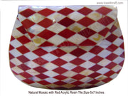 MOTHER OF PEARL BAGS WITH RESIN CLUTCH BAG