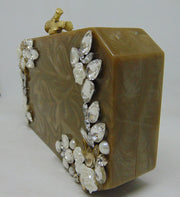 Gray brown Color Resin clutch Box Bag