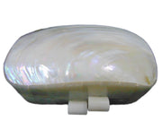 Vintage Mother Of Pearl Shell Purse Mop Clutch Bag