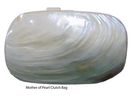 Vintage Mother Of Pearl Shell Purse Mop Clutch Bag