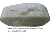 Vintage Mother Of Pearl Shell Purse Mop Clutch Bag