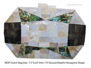 VINTAGE MOTHER OF PEARL EVENING CLUTCH