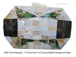 VINTAGE MOTHER OF PEARL EVENING CLUTCH
