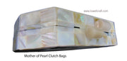 VINTAGE MOTHER OF PEARL EVENING CLUTCH