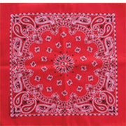 PAISLEY PRINT BANDANAS