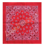 PAISLEY PRINT BANDANAS