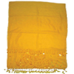 GEORGETTE BEADED SCARVE