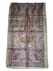 PAISLEY BORDER DESIGN SILK LONG SCARF