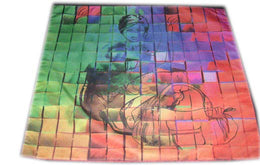 DIGITAL PRINT CUSHION COVER