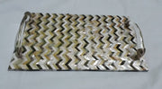 Resin mop Tray with resin Handles