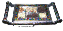 TRANSPARENT LID BOX TRAY (10