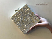 Bird knob Natural Sea Shell sling Clutch Bag