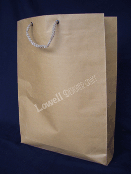 PLAIN CRAFT PAPER BAG