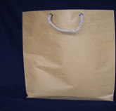PLAIN CRAFT PAPER BAG