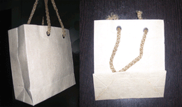 RECYCLE PAPER GIFT BAG