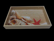 HAND PAINTED WOODEN TRAY ENAMEL