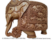ELEPHANT DT JHULDAR SPECIAL CARVING