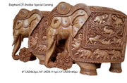 ELEPHANT DT JHULDAR SPECIAL CARVING