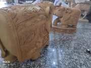 ELEPHANT DT JHULDAR SPECIAL CARVING