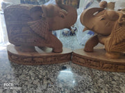 ELEPHANT DT JHULDAR SPECIAL CARVING
