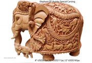 ELEPHANT DT JHULDAR SPECIAL CARVING
